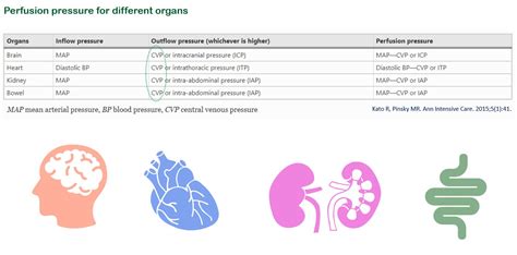 NephroPOCUS On Twitter Organ Perfusion Pressure Is The Difference