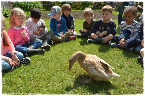 Visite La Ferme De La Vall E Ecoles Sainte Lutgarde Lasne