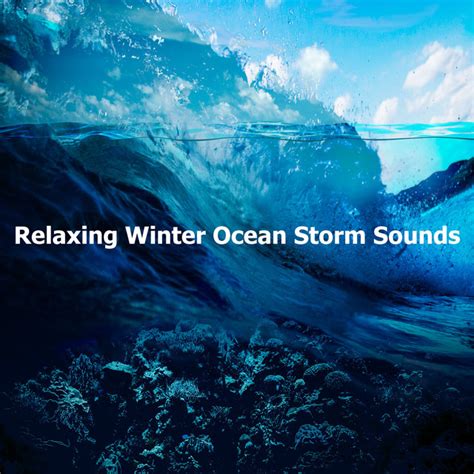 Relaxing Winter Ocean Storm Sounds Album By Ocean Sounds Fx Spotify