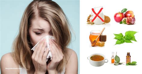 7 Natural Remedies For Seasonal Allergies Plus Most Common Allergens