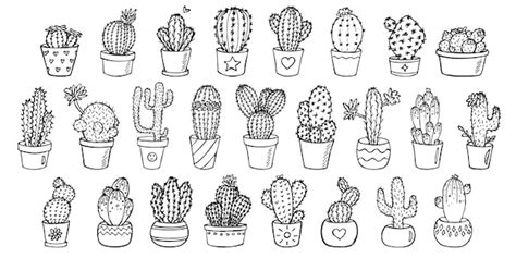 Conjunto De Linda Ilustraci N De Cactus Dibujada A Mano Planta De