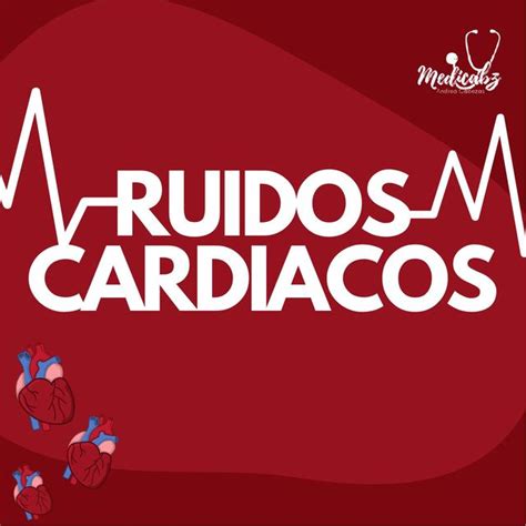 Ruidos Cardiacos Andrea Cabezas Udocz