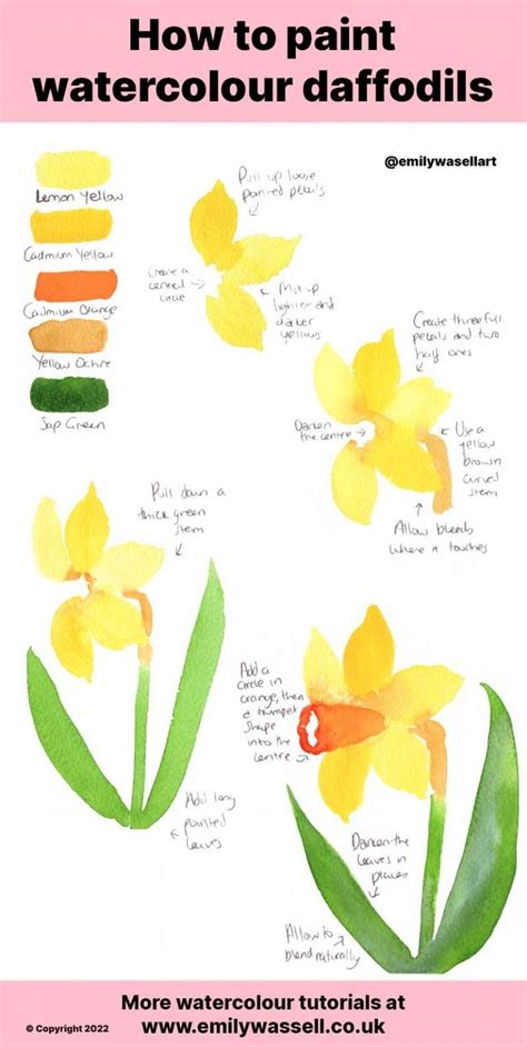 How To Paint Watercolour Daffodils With Easy Step By Step Instructions