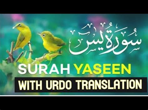 Surah Yasin Surat Yaseen With Urdu Translation Quran Tilawat Beautiful