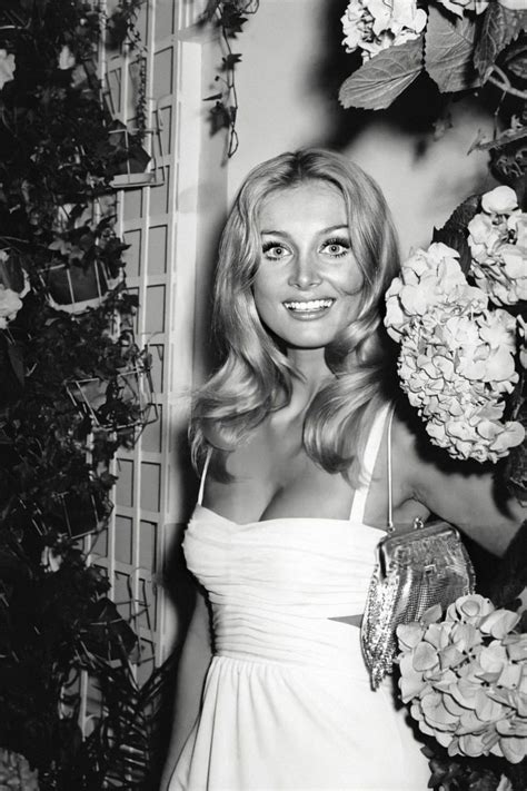 Get summer style inspiration from 60s bombshell barbara bouchet – Artofit
