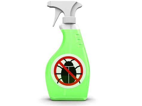 The Ultimate DIY Guide to Green & Safe Bed Bug Treatment - Pest Sensei