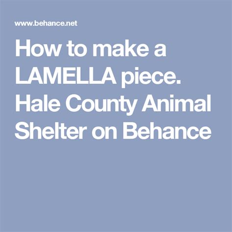 How To Make A Lamella Piece Hale County Animal Shelter On Behance