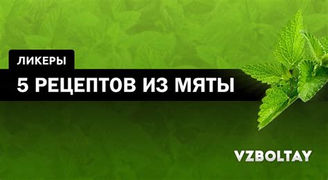 Мятный ликер: 5 рецептов в домашних условиях