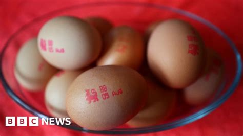 Egg Shortages What S Causing The Problem And How Long Will It Last