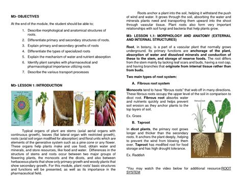 SOLUTION M3 Pharmaceutical Botany With Taxonomy Lec Studypool