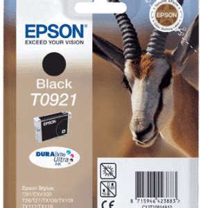 Epson T9731 Black Ink Cartridge C13T973100 Almiria Techstore Kenya