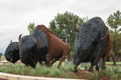 OBU Dedicates New Bison Sculptures and University Sign