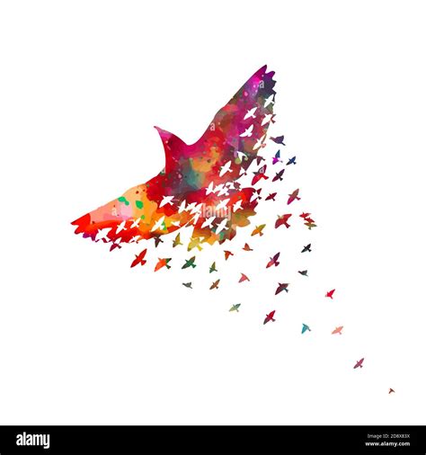 Colorful Flying Bird Art