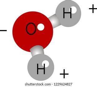 Water Molecule Structure Stock Vector (Royalty Free) 1229624827 ...