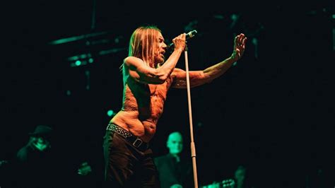 Iggy Pop Annullato Il Concerto All Arcimboldi Di Milano