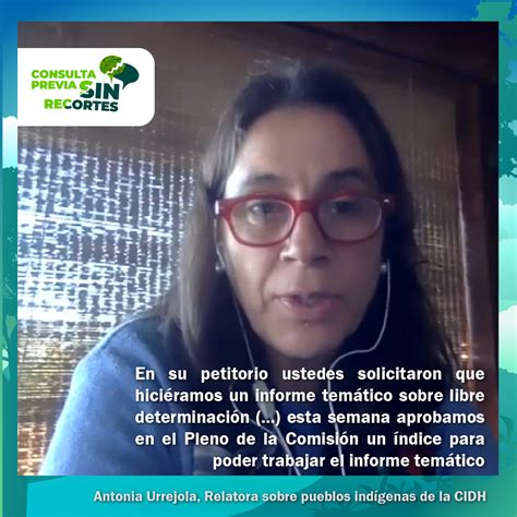 Relatora Sobre Pueblos Indígenas De Cidh Quiero Invitar A Los Estados