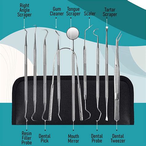 Dental Tools 10 Pack Stainless Steel Plaque Remover Set Oral Care