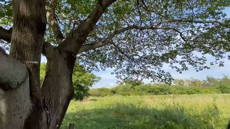 Profetas Da Chuva Agricultores Leem Sinais Da Natureza Para Definir O