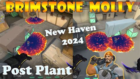 Top 15 New Haven Brimstone Post Plant Lineups Brimstone Lineups Haven