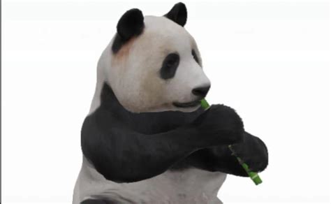 Actualizar 72 Images Oso Panda En 3d Viaterra Mx