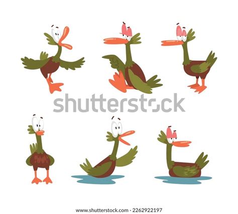 Funny Green Dabbling Duck Character Feathered Stock Vector Royalty