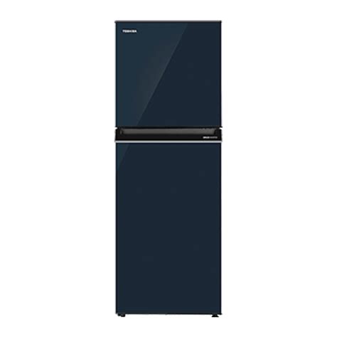 Toshiba 270L 2 Door Inverter Refrigerator GR RT300WE PMY UB Urban