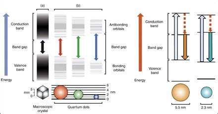 Quantum Dot Sensors - Nanotechnology