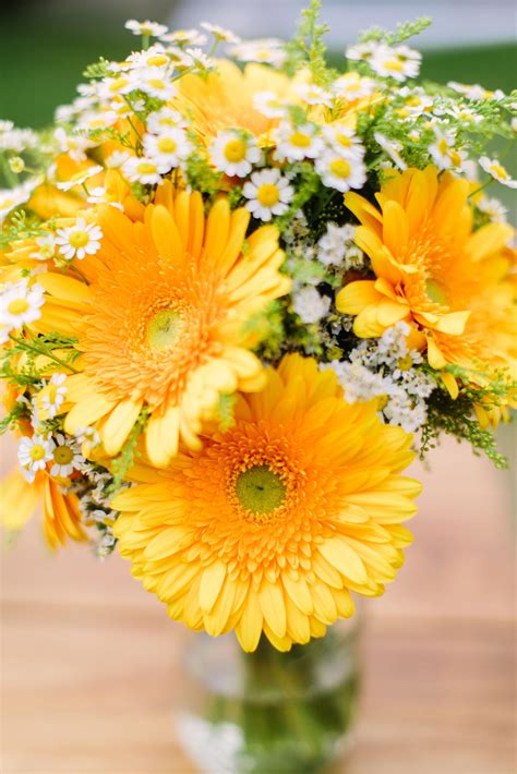 Yellow Gerbera And Matricaria Daisy Bouquet Photo Michaela Janetzko