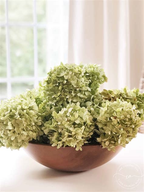 How To Dry Limelight Hydrangeas The Coastal Oak