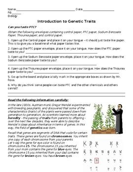 Introduction To Genetics Traits Guided Inquiry Pogil Style Activity