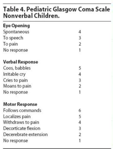 Week Neuro Flashcards Quizlet