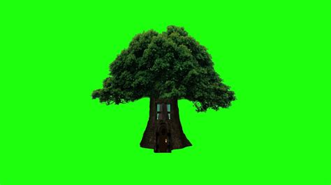 Green Screen Footage Tree House 100 Free To Use Free Stock Footage Youtube