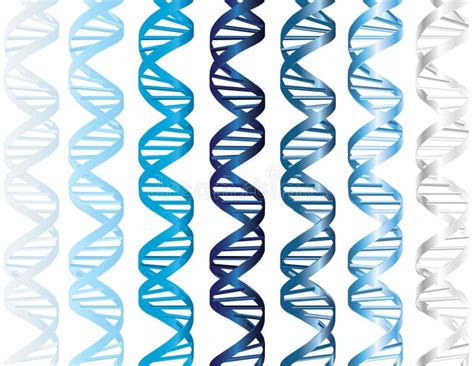 DNA Strands Stock Vector Illustration Of Frame Medical 8132316