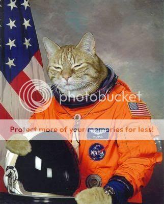 Astronaut Cat Pictures, Images & Photos | Photobucket