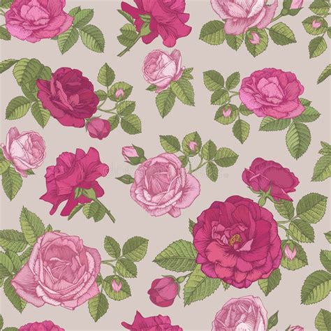 Seamless Pattern With Pink And White Roses Stock Vector Illustration