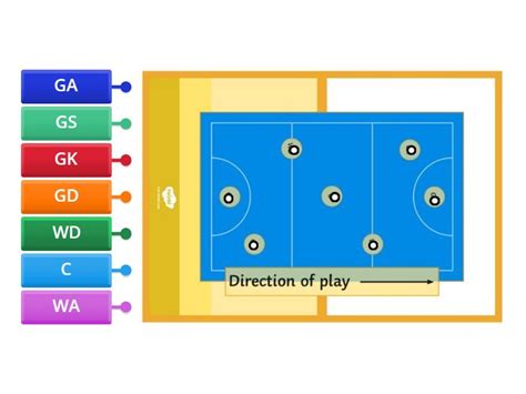 NETBALL COURT - Labelled diagram