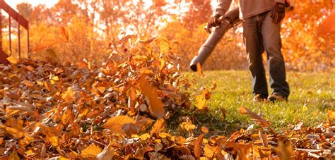 Fall Cleanup Tips