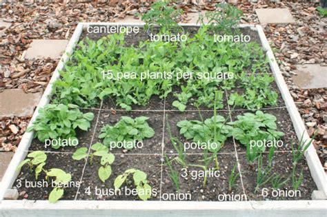 Square Foot Garden Check Up Make And Takes