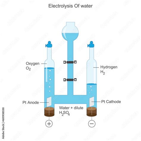 Electrolysis Of Waterelectrolysis Of Acidified Water With Pt Cathode And Anode Forming Hydrogen