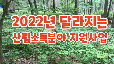 2022년달라지는산림소득분야지원사업 산림 임업 농업 공모사업 귀농귀촌정보 임업후계자 독림가 경북농민사관학교 약초 약용식물 임산물