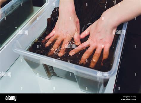 Spa Treatment With Algae Woman On Seaweed Wraps At A Spa Salon