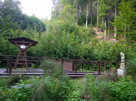 Gc Zhtm Lesn Balneo Traditional Cache In Olomouck Kraj Czechia