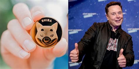 Harga Kripto Shiba Inu Melejit Cuma Gara Gara Cuitan Elon Musk Diadona Id