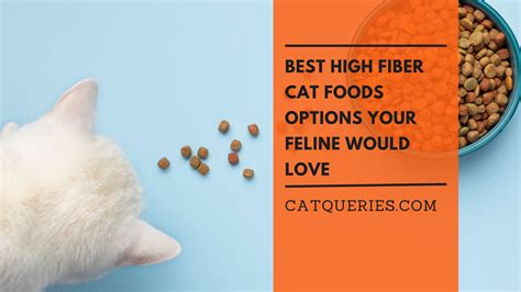 Best High Fiber Cat Foods Options Your Feline Would Love Cat Queries