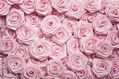 Light Pink Rose Background