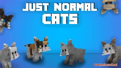 Just Normal Cats Resource Pack 1Minecraft