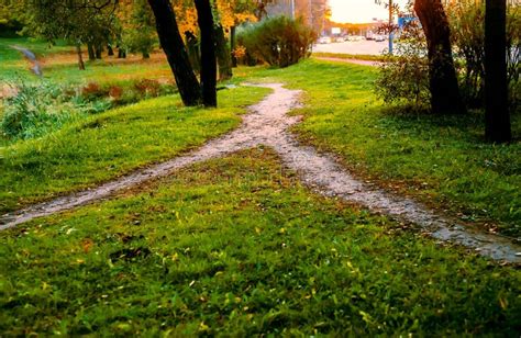 650 Paisaje Con Dos Caminos Fotos De Stock Fotos Libres De Regalías