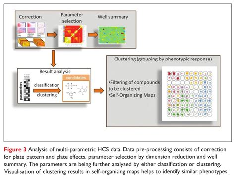 When High Content Screening Meets High Throughput Drug Discovery World Ddw