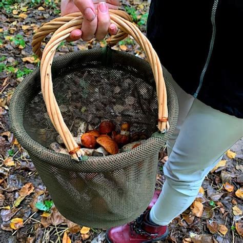 Handmade Quality Mushroom Hunting Basket Forage Baske Gem