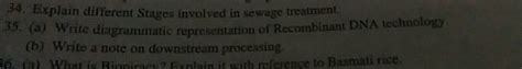 Write Diagrammatic Representation Of Recombinant Dna Technology